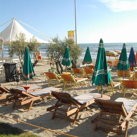 Palma Shkallnur