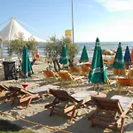 Palma Shkallnur