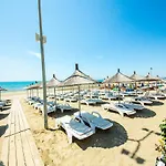 Palma Shkallnur